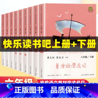 尼尔斯骑鹅旅行记[3册] [正版]人教版六年级上册全套3册 小英雄雨来爱的教育童年高尔基 人民教育出版社 小学生6上 六
