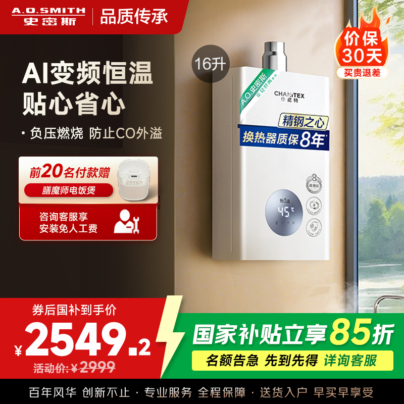 AO史密斯16升燃气热水器佳尼特 不锈钢换热器8年包换 恒温大水量 抗风防冻 JSQ31-TC1