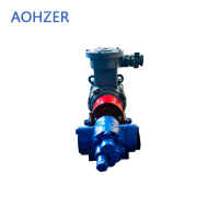 AOHZER 齿轮油泵总成 AZ-247171 套