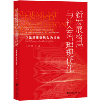 新发展格局与社会治理现代化 以政策集群耦合为视角