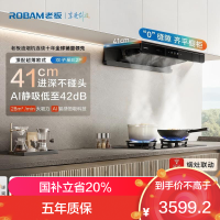 老板(Robam)油烟机 欧式顶吸烟灶联动双腔变频大吸力油烟机28风量智能油烟机 双子星E2P