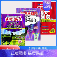 下册》古诗文+现代文+阅读同步拓展训练B版[3本] 小学六年级 [正版]2024新黑马阅读英语六年级 小学英语阅读理解专