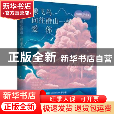 正版 像飞鸟向往群山一样爱你::: 沈嘉柯,罗小葶 北京时代华文