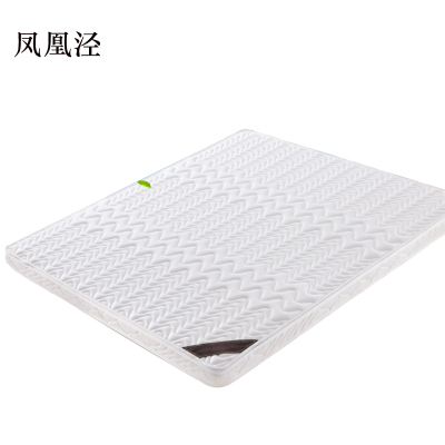 凤凰泾椰棕床垫家用棕垫B10cm厚(防螨针织+2cm乳胶+0胶水天然椰棕)900mm*2000mm