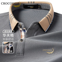 鳄鱼恤CROCODILE 男士秋冬商务弹力柔软亲肤长袖POLO衫