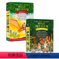 神奇树屋1-8盒装 [正版]神奇树屋英语原版小说 Magic Tree House 全套系列恐龙谷历险记/黎明骑士 分阶