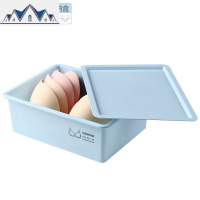 内衣内裤收纳盒塑料抽屉式分格学生宿舍用衣柜内放袜子有盖整理箱 三维工匠