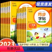 [全2册]同步字帖+阅读理解 六年级上 [正版]一年级二年级三小学生练字帖四五六字帖上册下册每日一练笔画笔顺练语文生字同