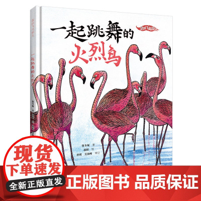 我的飞鸟朋友:一起跳舞的火烈鸟
