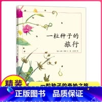 [正版]一粒种子的旅行儿童绘本小学一年级二三四年级课外书阅读故事南海出版社爱心树一颗种子的小旅程1得2馆非注音版硬壳