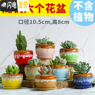 三维工匠多肉花盆陶瓷家用粗陶创意个性肉肉植物盆器大号口径 苹果带托盘随机(6个) 小花盆容器