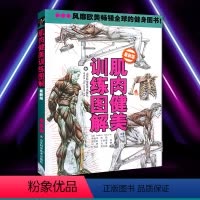 [正版] 肌肉健美训练图解 弗雷德里克德拉威尔男性身材肌肉训练型男健美专业人体解剖插图正确运动技巧解说健身肌肉技巧方法