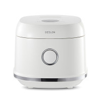 德世朗 微电脑电饭煲 106DDQ-FB505