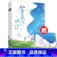 [正版] 灿若星河的你 叠石 貌美甜心VS酷哥大佬 战地记者的别扭小爱情 青春言情小说书