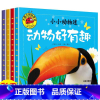 [正版]大图大字我爱读注音彩绘全套4本 小小动物迷 动物好奇怪 动物好萌啊 动物好有趣 动物好威风 绘本0-1-2-3