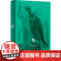 [店] 隼 [英] 海伦·麦克唐纳著 万迎朗 王萍 译 一百余幅图片详解世界上最快速动物 世纪文景出版上海人民出版