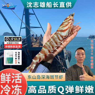 沈志雄船长 东山岛海捕海鲜超大斑节虾竹节虾明虾基围虾400g/2-3条/盒共2盒共净重800g