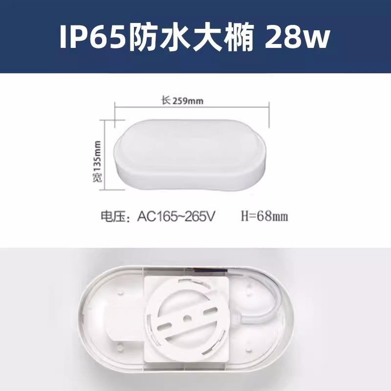 RDZM 椭圆形LED防水防潮灯 RDF9022 三防吸顶灯