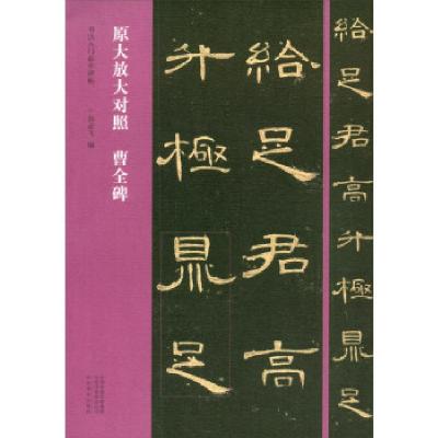 正版新书]书法入门必学碑帖——原大放大对照翁志飞978754015499