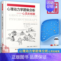 [正版]心理动力学团体分析—心灵的相聚 万千心理 手把手教你如何带领心理动力学团体书籍 团体分析实践 临床团体分析教