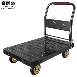 赛颐盛