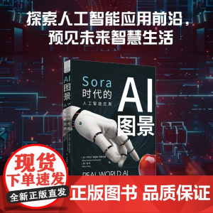 AI图景 阿莉莎·辛普森·罗赫韦格等 著 计算机与互联网