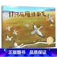 [正版]3本58元孙俪绘本 11只灰雁往南飞阅读3-6岁0-4-5-7-8岁宝宝幼儿园睡前故事书籍早教益智图书读物亲子