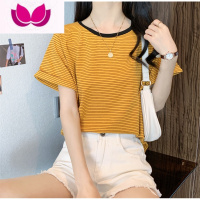 七斓T恤女短袖条纹2023年新款装宽松小众设计感大码欧货潮上衣服