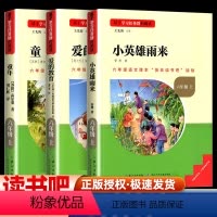 [全套共3本]快乐读书吧六年级上册 [正版]爱的教育小英雄雨来童年全套3册高尔基原著完整版6小学生六年级必读的课外阅读书