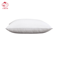 织娘故事 枕芯 48*74cm/个