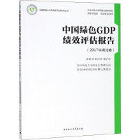 音像中国绿色GDP绩效评估报告欧阳康,赵泽林,熊治东 著