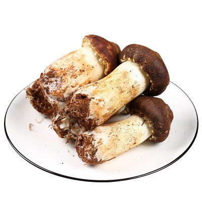 新鲜松茸价格 新鲜松茸最新报价 新鲜松茸多少钱 苏宁易购