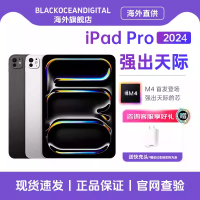 苹果 Apple 2024款 iPad Pro 11英寸 256G WIFI版 苹果平板电脑 深空灰色 资源级国际版