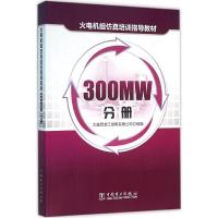 正版新书]火电机组仿真培训指导教材(300MW分册)大唐黑龙江发
