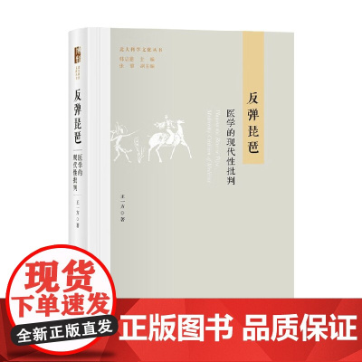 反弹琵琶 王一方 著 社会科学
