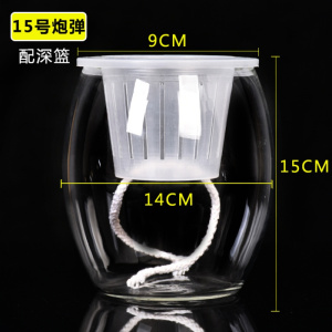 花瓶水养绿萝创意个性容器定植蓝水培植物玻璃瓶桌面小型迷你鱼缸