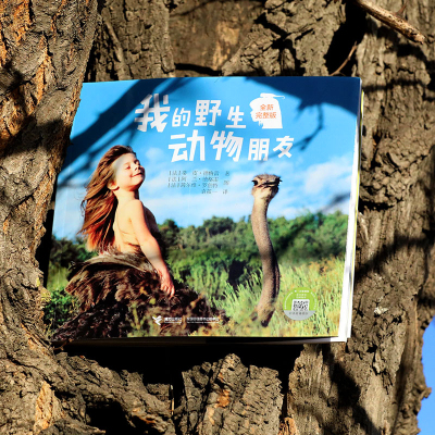 我的野生动物朋友正版蒂皮.德格雷 非注音版 一二三四年级少儿百科全书科普书籍动物王国大揭秘小学生读物十万个为_790