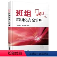 [正版]班组精细化安全管理 经管类图书 班组 安全管理 精细化工作 参考 也可供企业各级管理者 参考