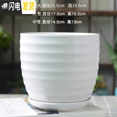三维工匠北欧简约花盆陶瓷大号带托盘白色绿萝盆栽室内多肉盆 梯形亮光白圈纹 特大花盆容器