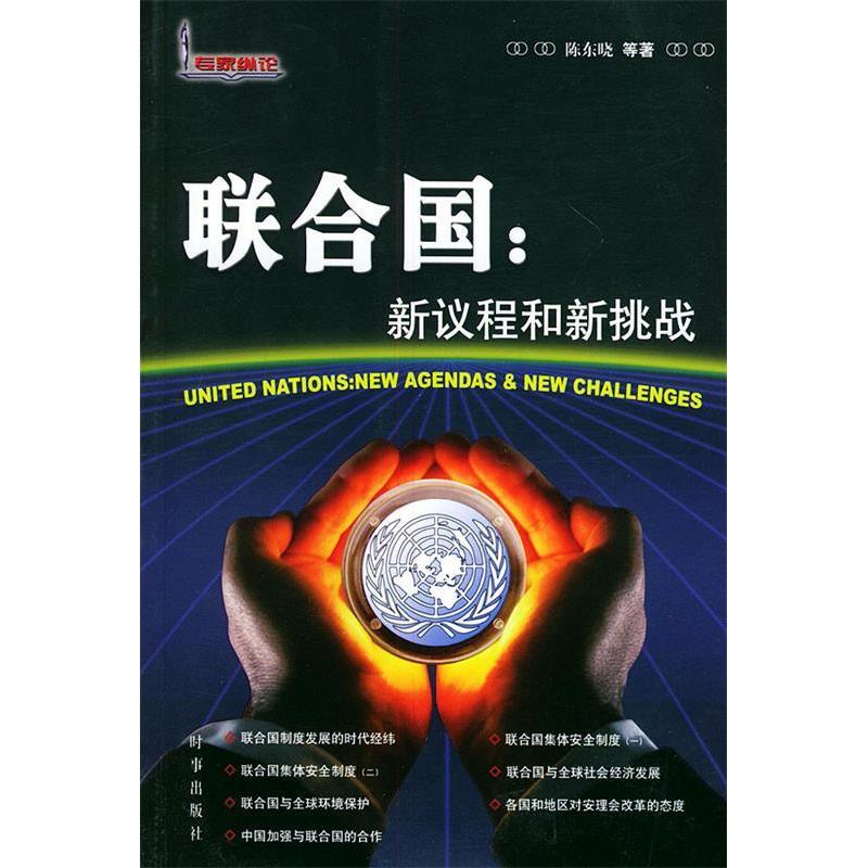 正版新书]联合国陈东晓9787800098420
