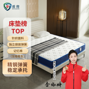 盾将 弹簧加厚乳胶床垫 DJ-468S-CD009