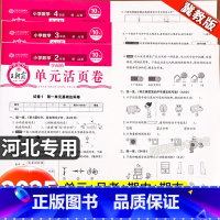 [冀教版]数学+[人教版]语文+[人教PEP]英语(全3册) 三年级下 [正版]冀教版数学王朝霞活页单元卷小学生一二三四