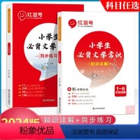 小学生必背文学常识(知识详解+同步练习) 小学通用 [正版]红逗号2023版小学生必背文学常识积累大全小学语文基础知识手
