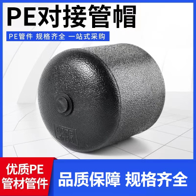 盛京联硕 PE对接堵头 PE75(承压1.6Mpa)个