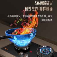 Haotaitai燃气灶JZY-2103液化气