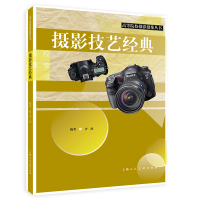 正版新书]摄影技艺经典齐欣9787558616136