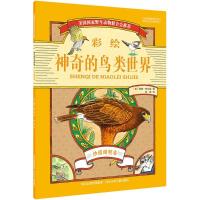正版新书]神奇的鸟类世界(沙漠峭壁卷)基姆·库尔基97875376946