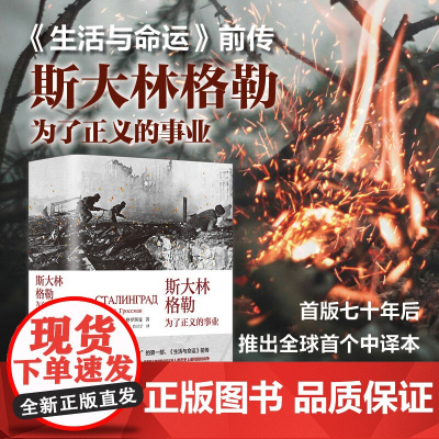 斯大林格勒 为了正义的事业 生活与命运前传