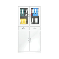 中二斗文件柜钢制柜铁皮柜[材质:0.8mm冷轧钢板]/台(1800*850*390mm)