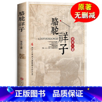 骆驼祥子 [正版]繁星春水 冰心七年级必读儿童文学全集四五六年级下册必读小桔橘灯小学生课外阅读书籍现代诗歌散文集人民教育